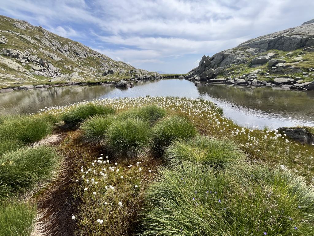 Laghi.......del TRENTINO